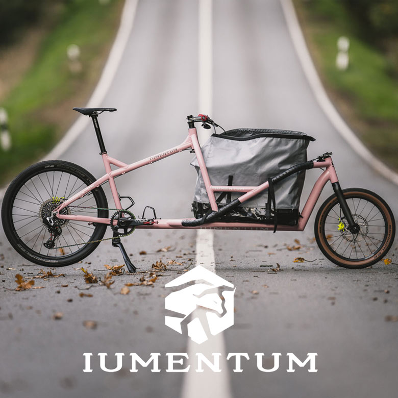 Iumentum Händler Hamburg leichtes Lastenrad