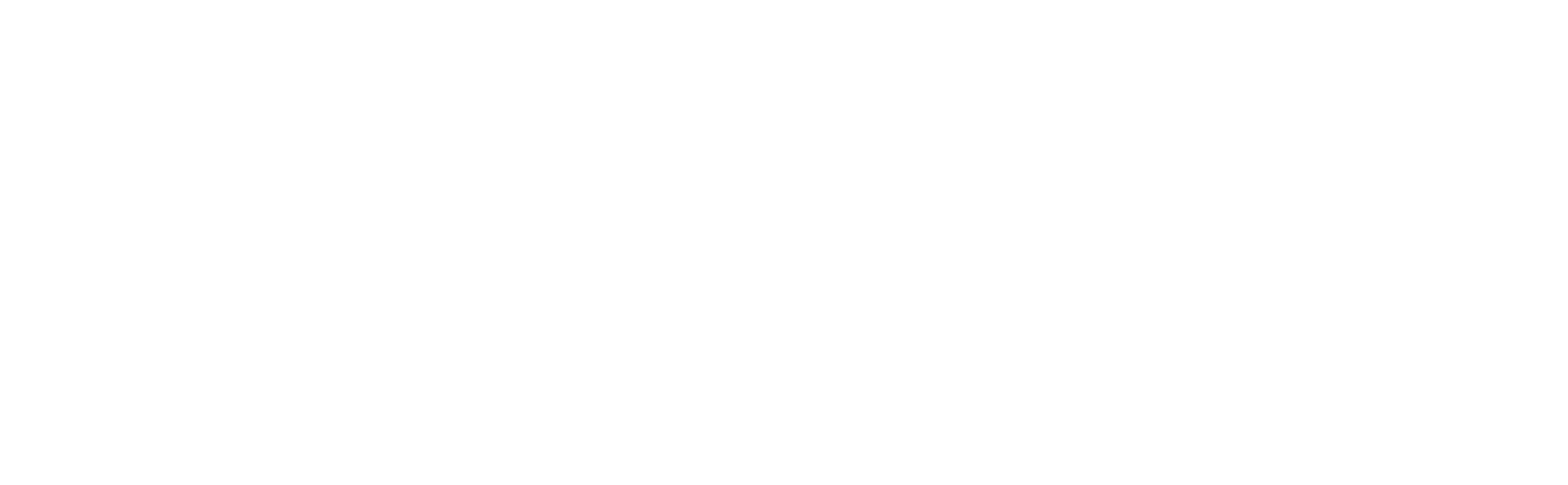 Logo Cycle Solution Fahrrad Hamburg HafenCity