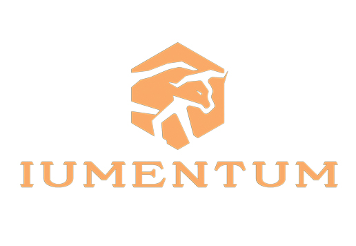 Logo 2